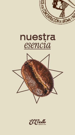 criollo_seo_grano-de-cafe