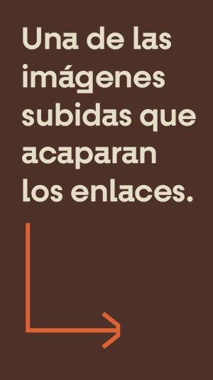 criollo_seo_marron