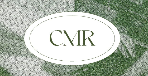crm-la-dalizzia-web