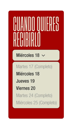 entrega-personalizada-seo-victor-salvo-1