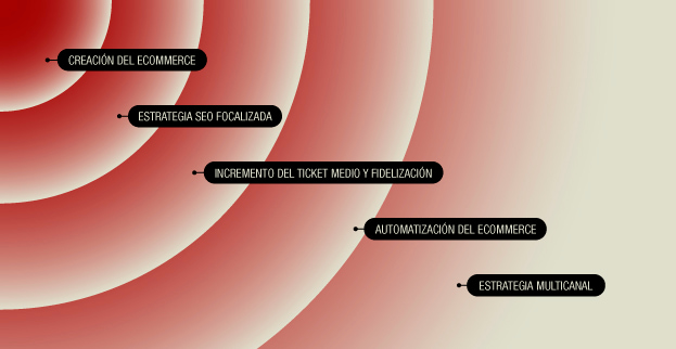 fases-proyecto-seo-victor-salvo