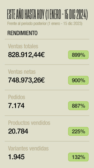 ingresos-seo-victor-salvo