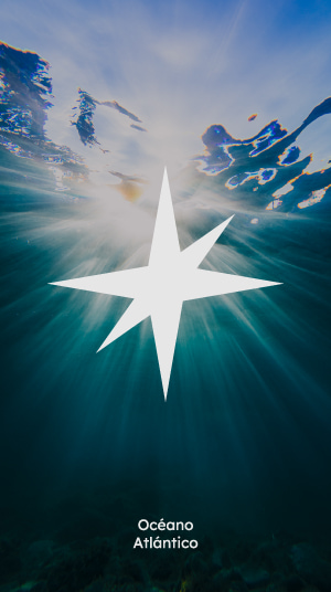 logo-oceano-rebranding